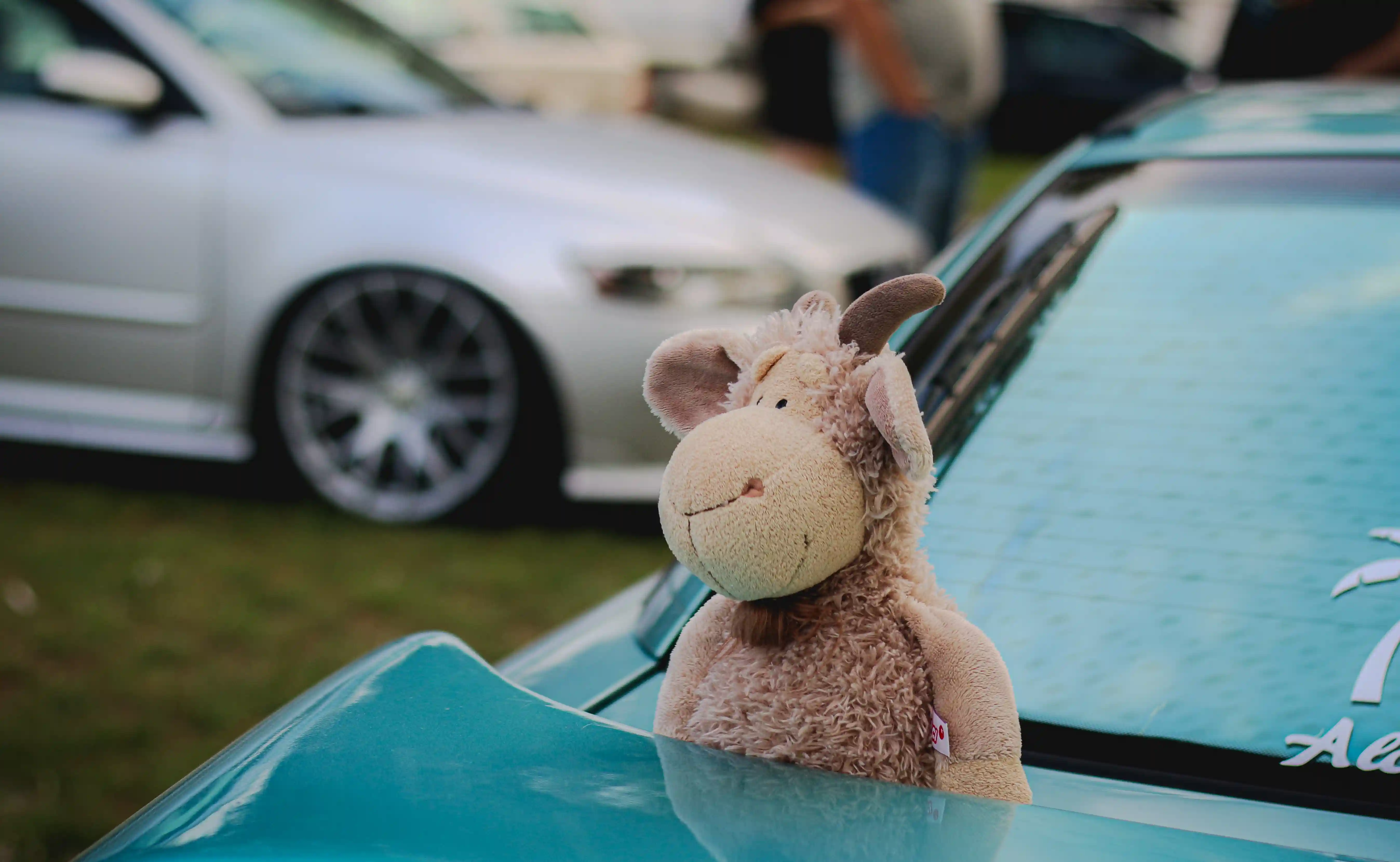 Obrazek image1.webp z galerii